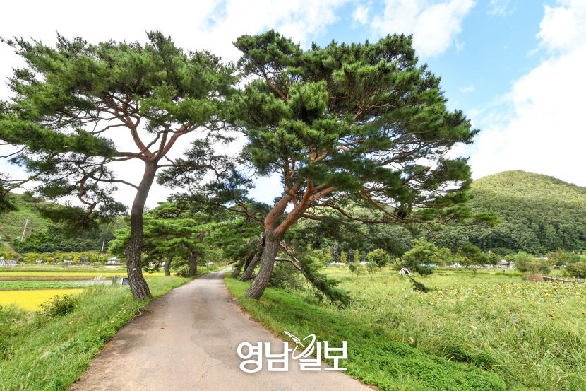 [지금가기 딱 좋은 청정 1번지 영양]  외씨버선길 영양 구간