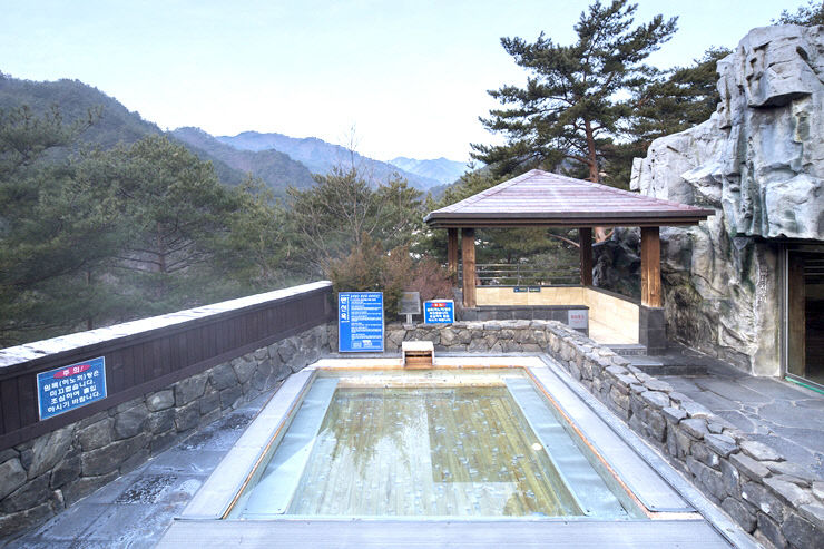 편백