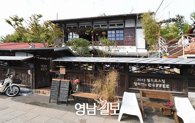 [스토리텔링 2020] 포항 12경 둘레 맛 기행 작은 식물원 같은 카페 까멜리아 인 구룡포