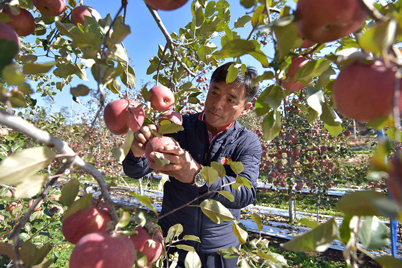 2020110401000143500005342