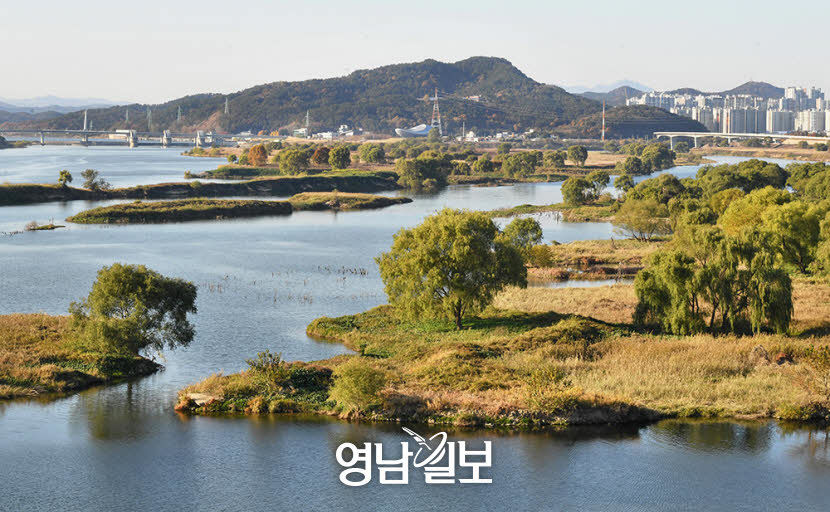 [머물고 싶은 대구의 공간 .2] 친수공간…달성습지·수성못