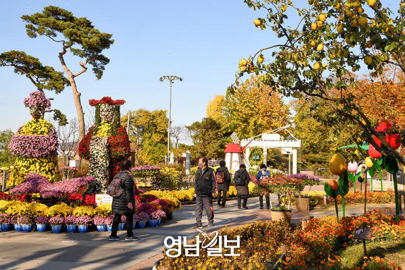 [머물고 싶은 대구의 공간 .2] 친수공간…달성습지·수성못