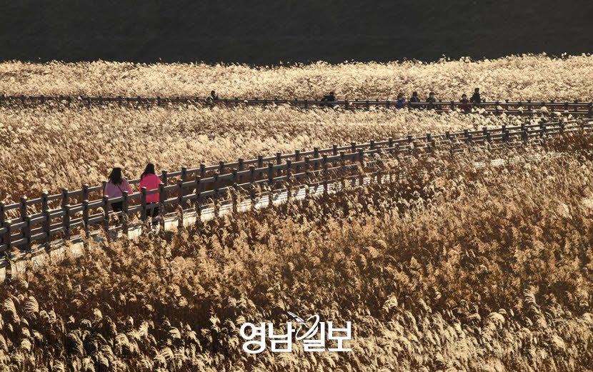 [머물고 싶은 대구의 공간 .2] 친수공간…달성습지·수성못