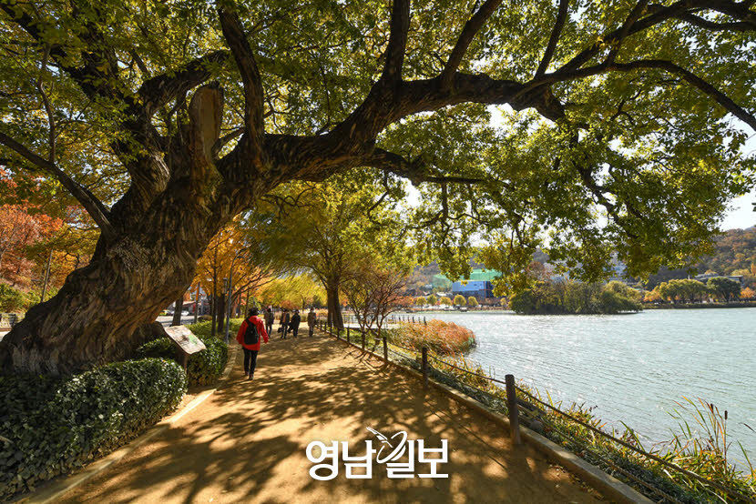[머물고 싶은 대구의 공간 .2] 친수공간…달성습지·수성못