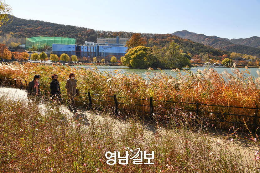 [머물고 싶은 대구의 공간 .2] 친수공간…달성습지·수성못