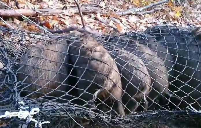 2020122101000710500029492