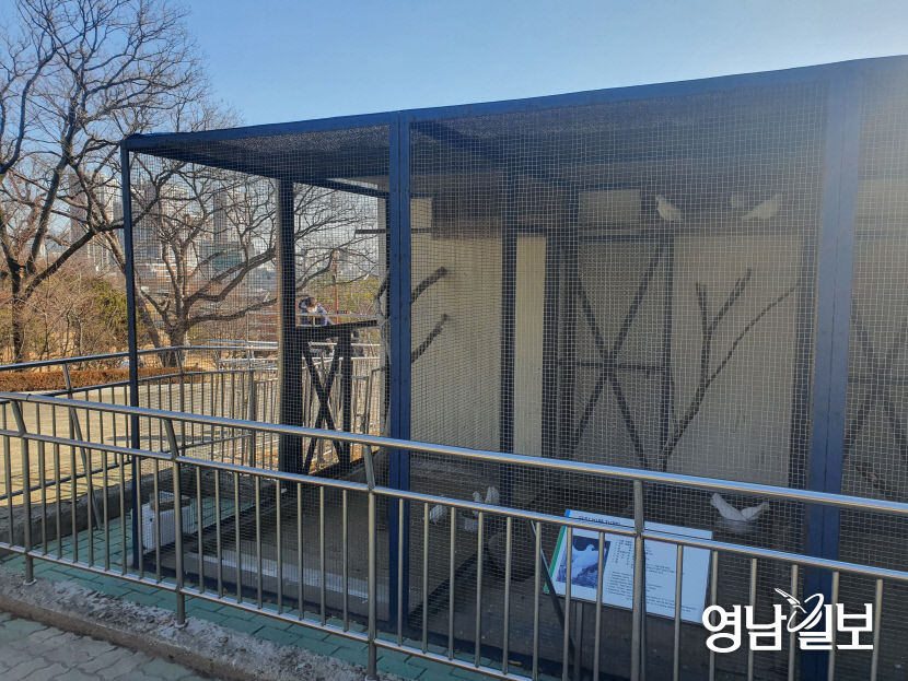 황조롱이 실종 사건 대구 달성공원에 CCTV 설치키로