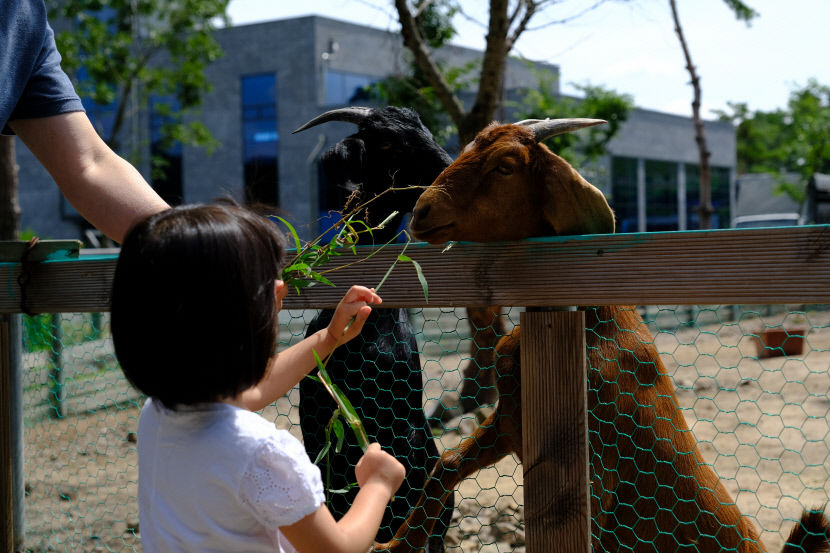 2021020801000286600011141