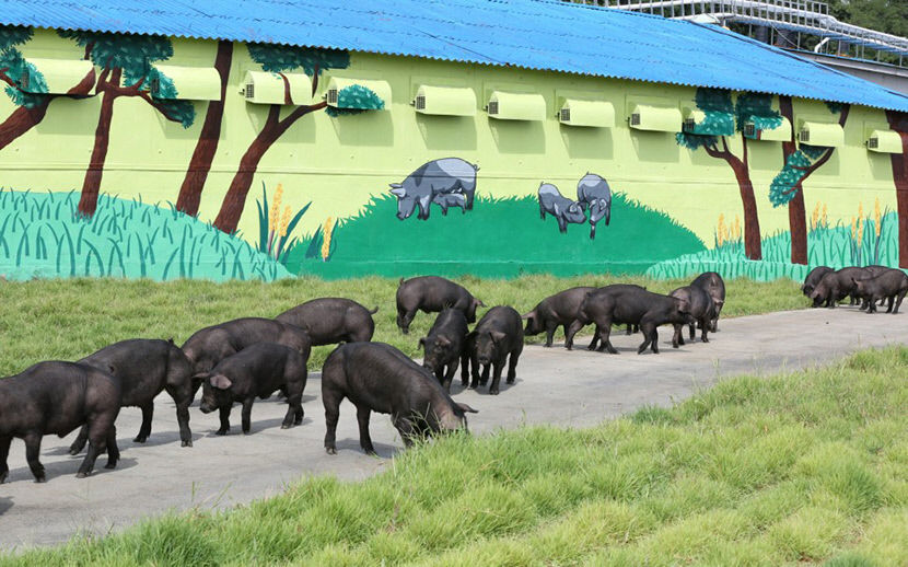 2021031201000295900011542