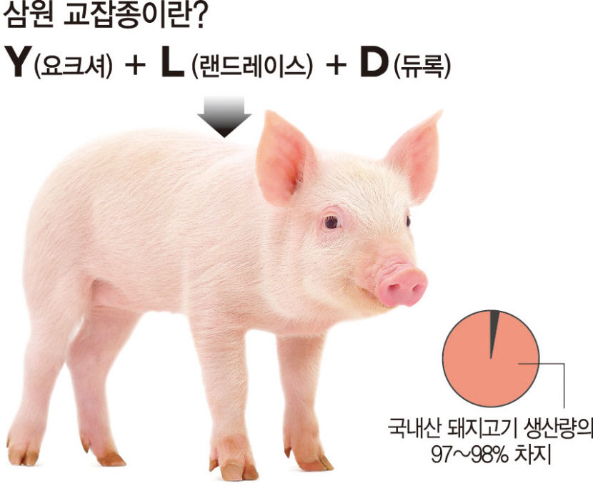 2021031201000470500018641