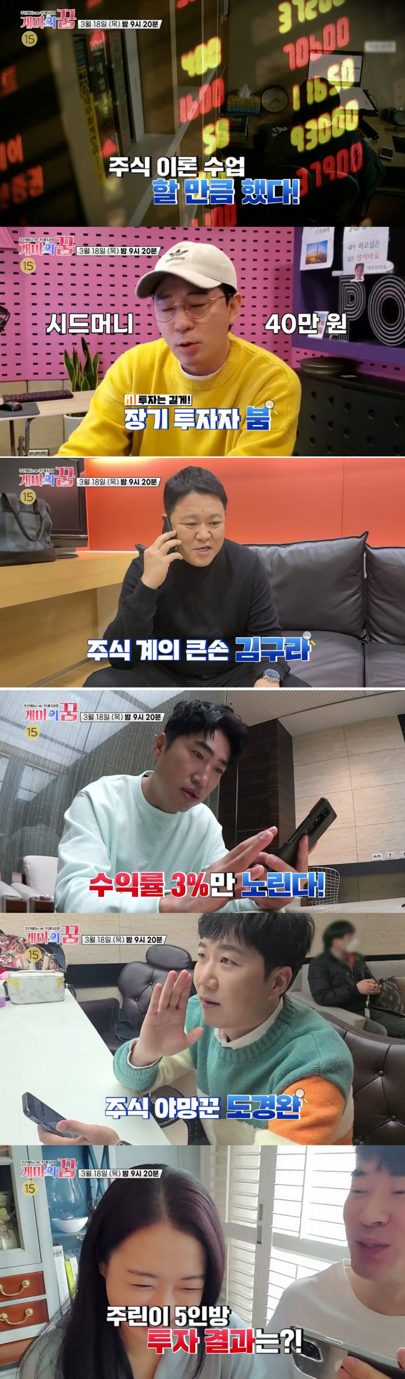 개미.jpg