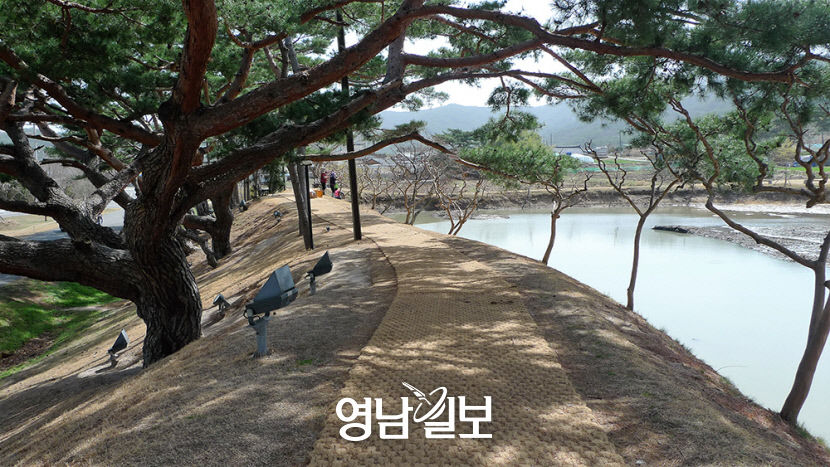 [주말& 여행] 경주시 남산동 서출지…1500여년 전 신라 소지왕 목숨 구한 전설의 고향