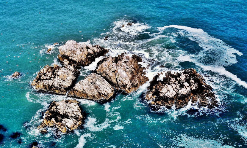 2021032801001007000041671