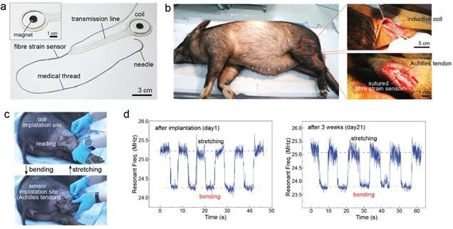 2021040501000141300005473