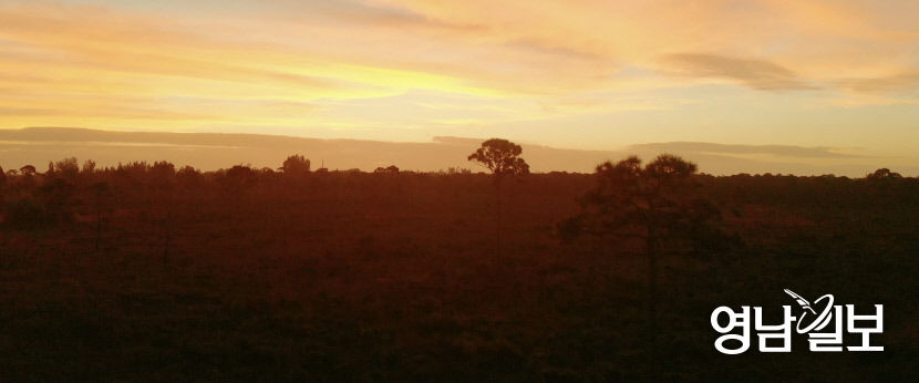 2021040601000236100009112