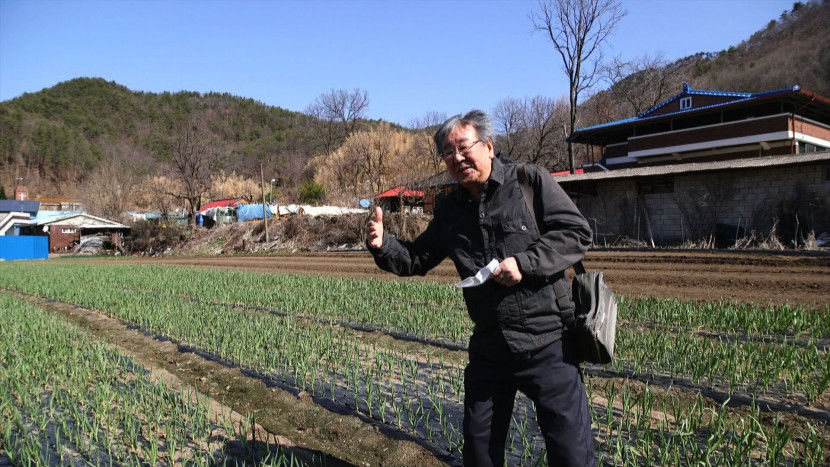 최불암.jpg