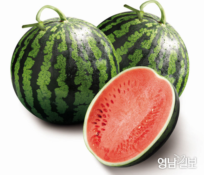 2021042201000812000033451