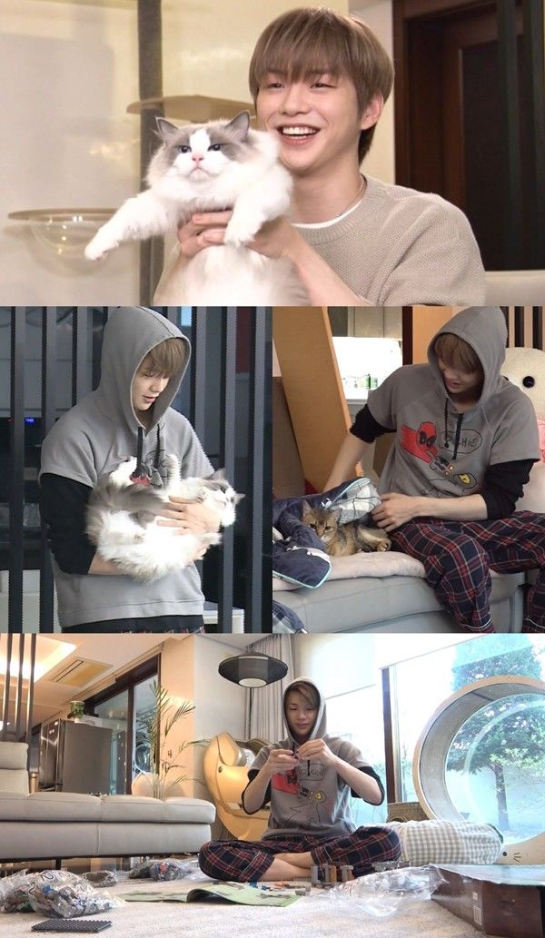 나 혼자 산다 집돌이 끝판왕 강다니엘, 반려묘와 함께 하는 찐(?) 행복 라이프 공개