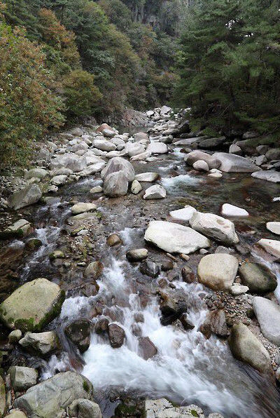 [이도국의 영남좌도 역사산책] 최치원의 자취를 찾아서