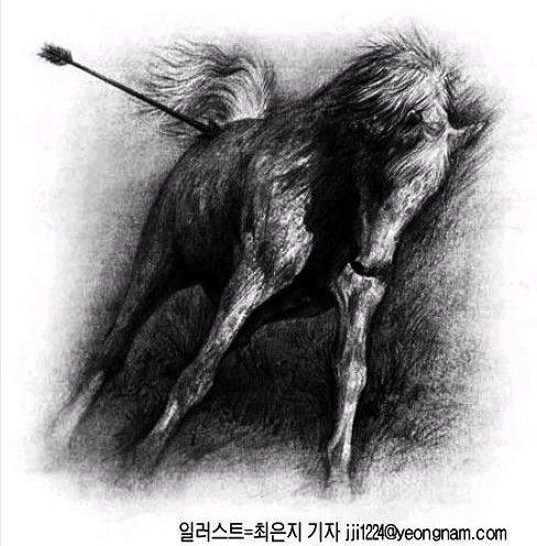 [스토리텔링 2010] 동해안 일천리 이야기 세상  성석제의 진각국사와 명마