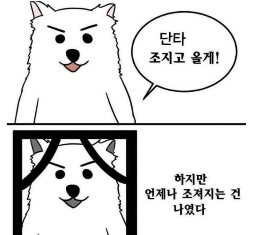 이미지11111.jpeg