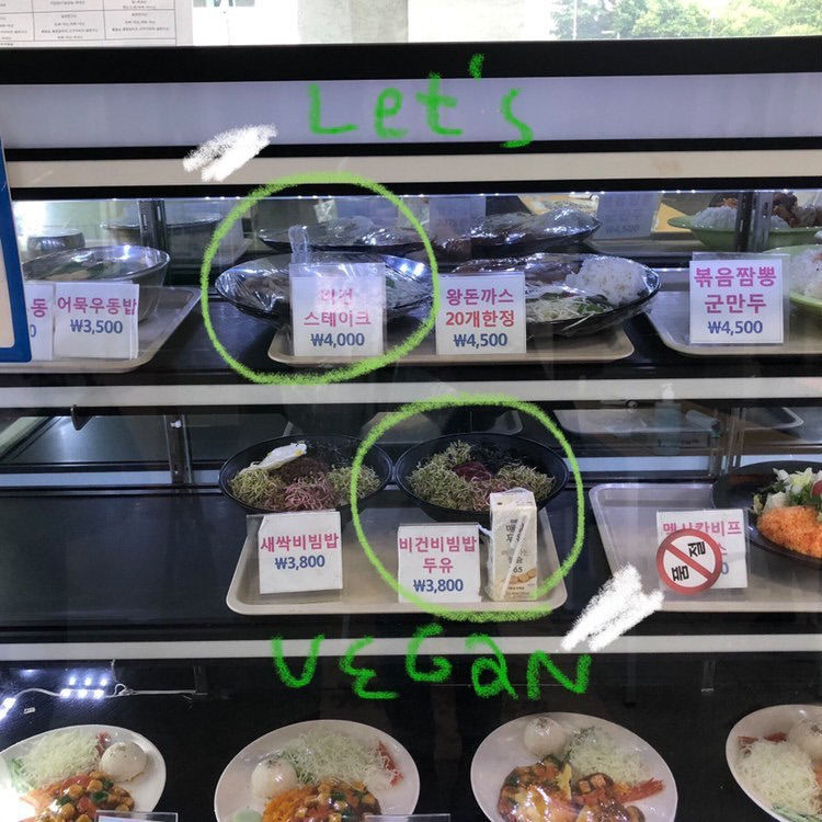 경북대, 대구경북지역 대학 최초로 비건학식 제공