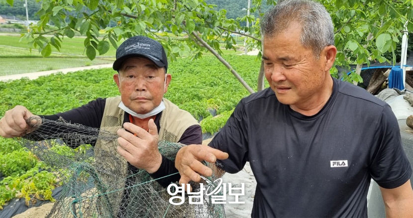 2021061401000443000017512