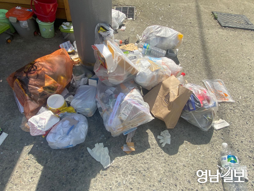 대구 대학가 쓰레기 불법투기로 몸살...신분 확인 못하게 영수증은 빼고 버려