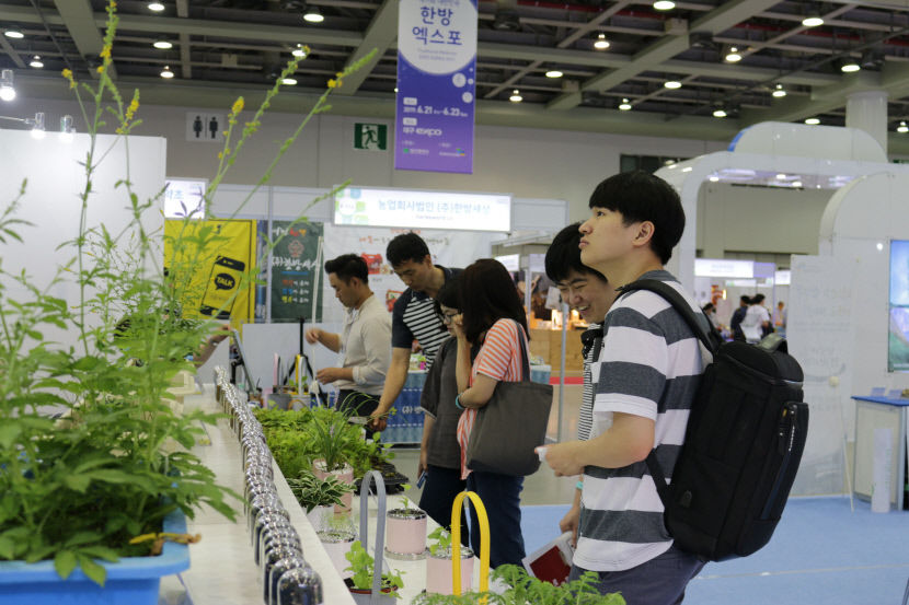 2021062801000868800035221