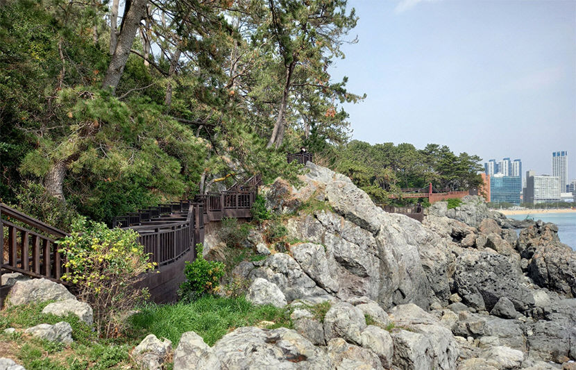 2021070601000205900007264