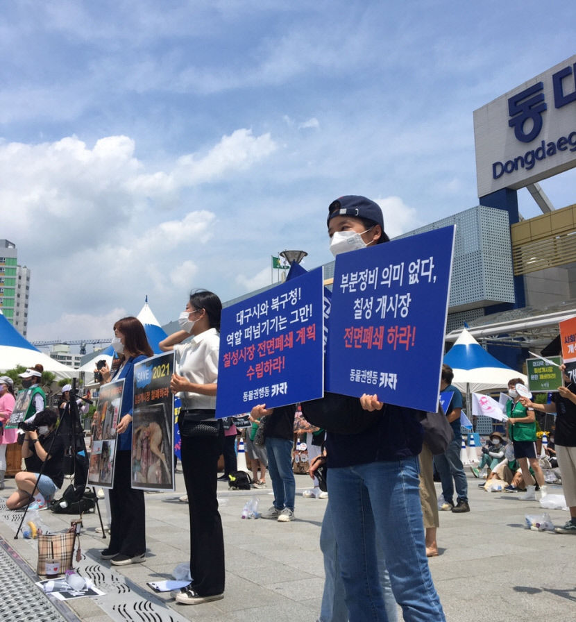 초복에 칠성 개시장에 손님 몰려...동물보호단체 개시장 철폐