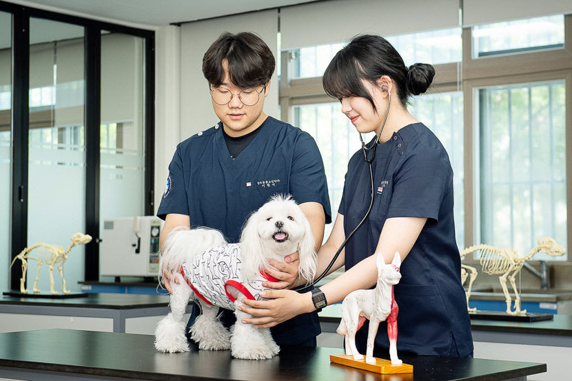 2021071701000531000021362