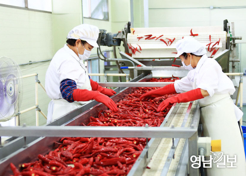 2021072101000624400024843