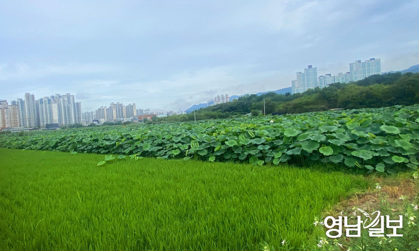 KakaoTalk_20210721_143749321_01