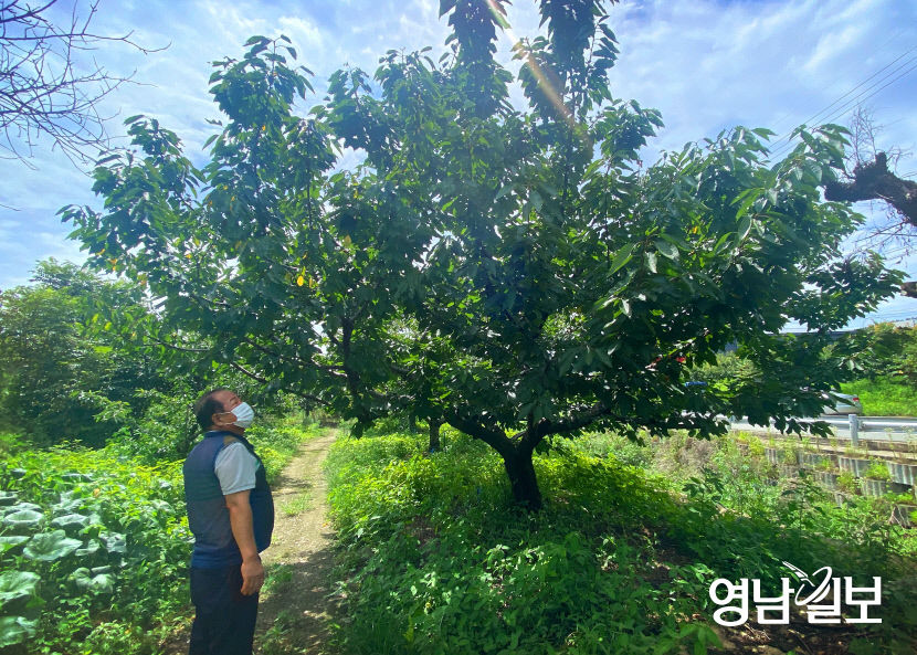 KakaoTalk_20210721_143749321_02