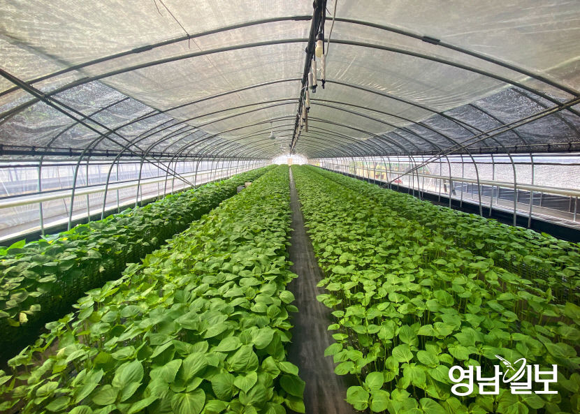 KakaoTalk_20210721_143749321_03