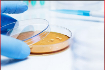 temp_1629686989008.1207087166