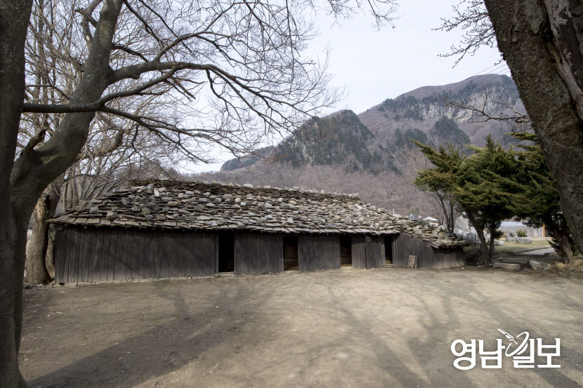 [울릉도·독도 파노라마(9)] 축구장 280개 규모의 분화구 안에 또 다른 분화구...세상에 유례 찾기 힘든 나리분지