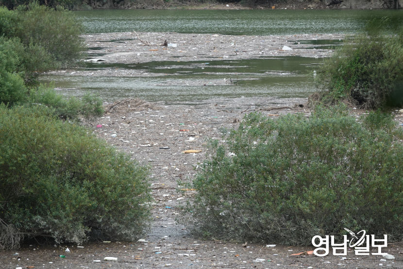 [동네뉴스- 시민기자 스마트폰 세상보기] 경북 영천댐 쓰레기