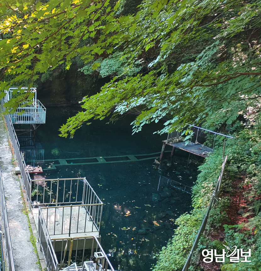 [울릉도 독도 파노라마(10)]  나리분지 땅속 전체가 큰 물탱크 역할...울릉도 전역 용출 소 통해 청정 암반수 공급
