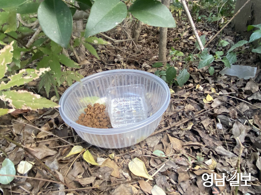 KakaoTalk_20210916_161907590