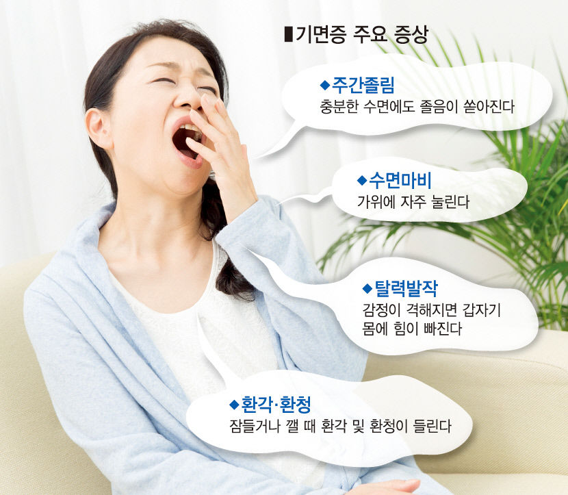 대구 2