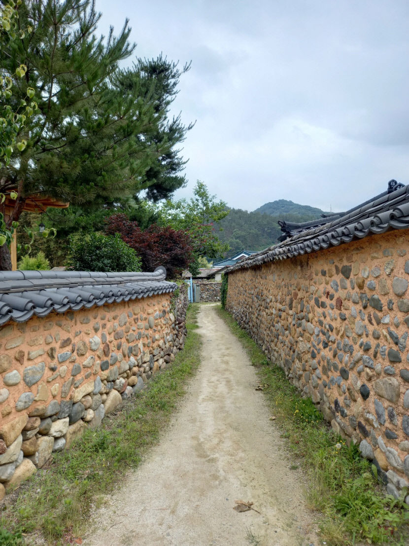 거리