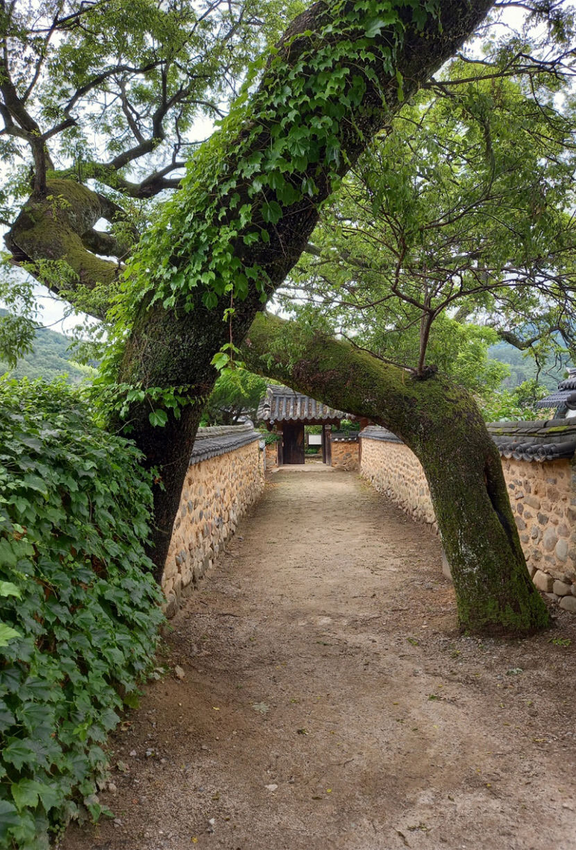 부부