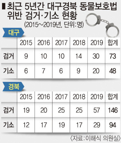 [수요기획] 동물보호 못 하는 동물보호법... 학대받는 검둥이나비 늘어나는데 방지·처벌법은 제자리 걸음