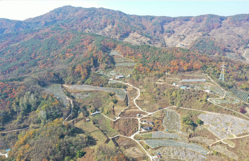 2021100901000261700010461