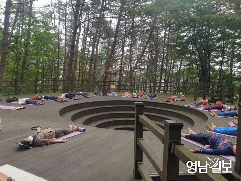 몸쉼맘쉼(숲치유명상)