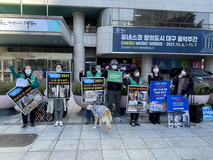 총파업·해고자·빈곤·개시장 등 지지·호소...하루종일 기자회견장 된 대구시청