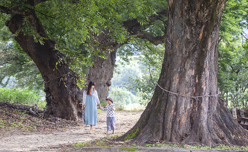 2021102001000611700024671