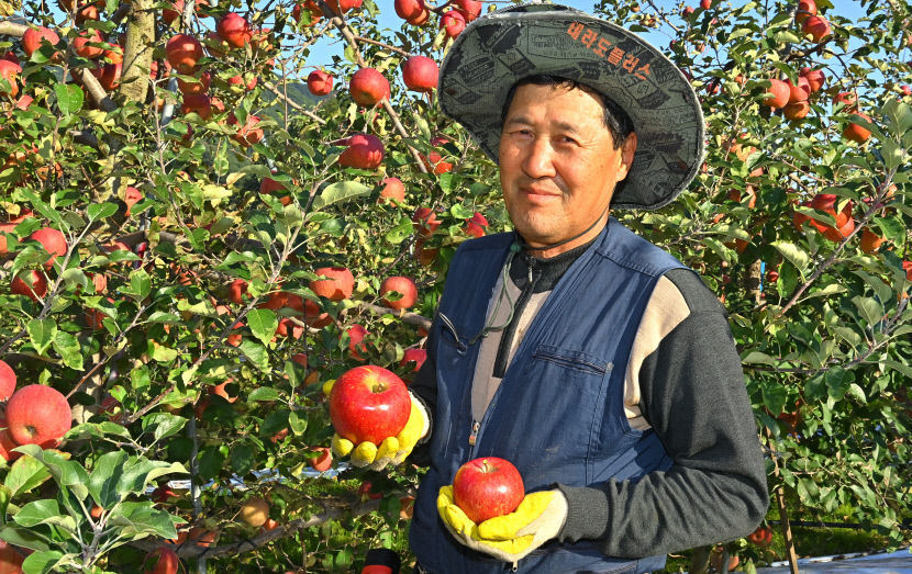 2021102301000694100028061